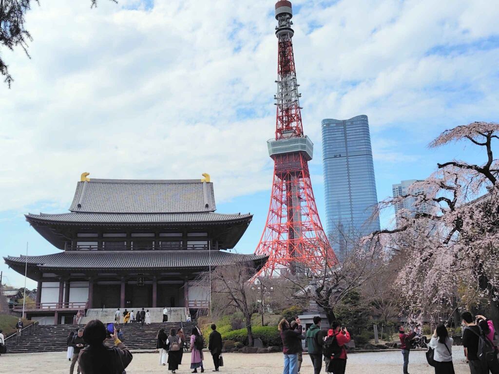 増上寺の桜と東京タワー（東京都港区）